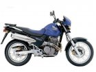 Honda FX 650 Vigor